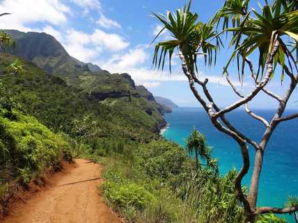 16 NIGHT Hawaii CRUISE